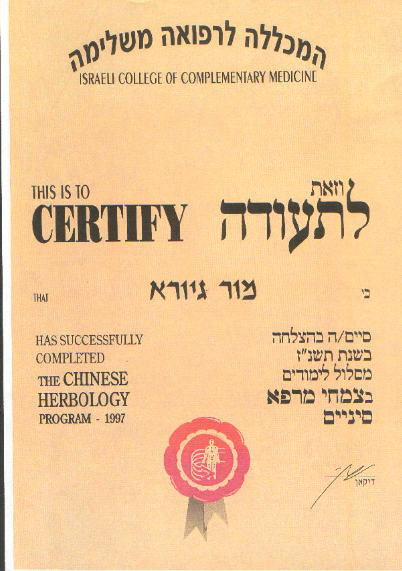 Certificate 10.jpg